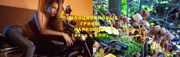 трава Алзамай