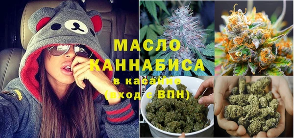 стаф Аркадак