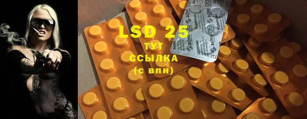 прущие грибы Алексин