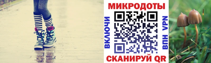 Галлюциногенные грибы мицелий наркота Плавск